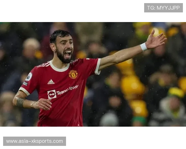 德甲裁判名单公布，关键战役执法人选受关注。